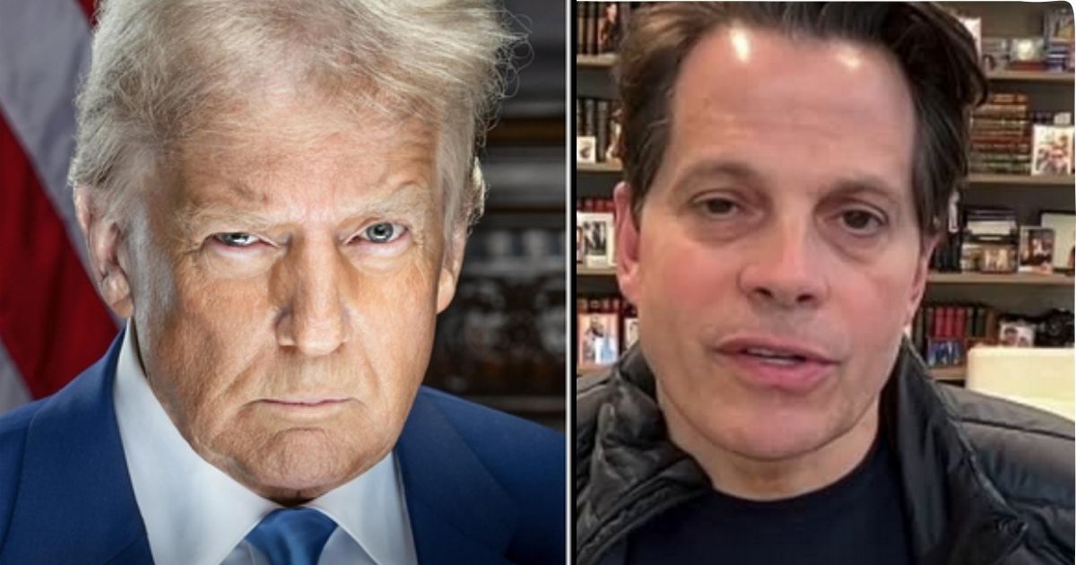 Anthony Scaramucci is going all out against Donald Trump