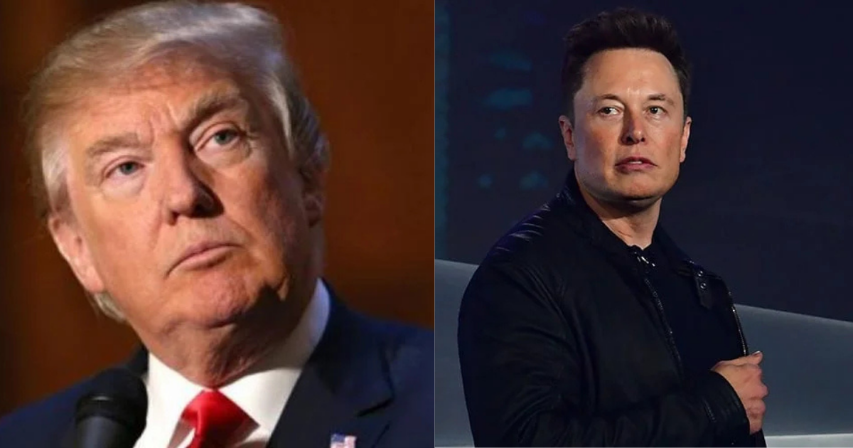 Donald Trump and Musk