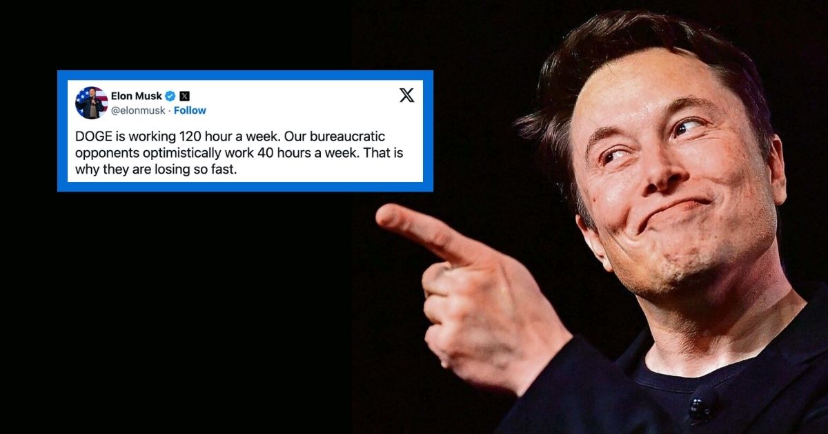 Elon Musk DOGE