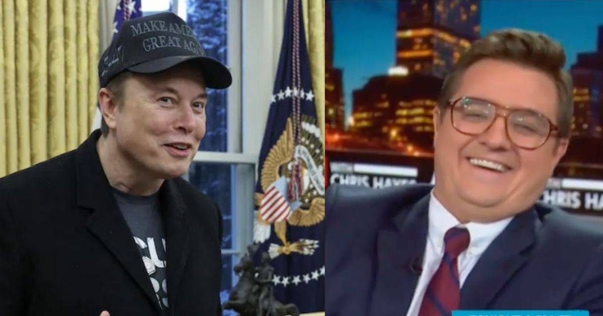Elon Musk and Chris Hayes