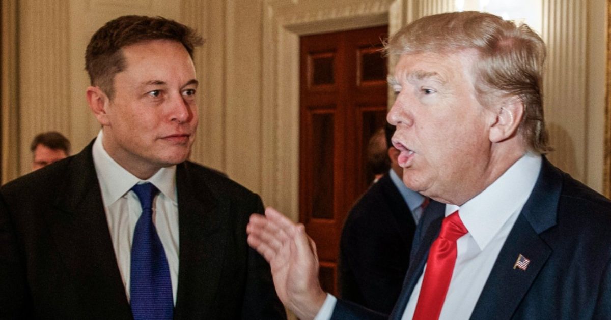 Elon Musk with Donald Trump