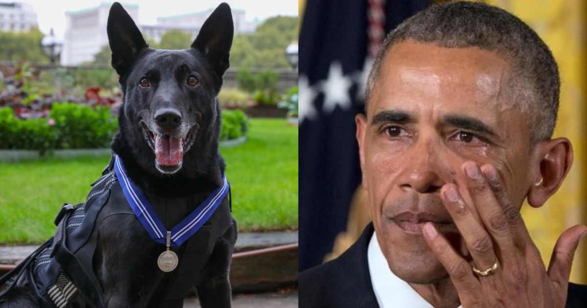 K9 Hurricane, White House Dog passes away at 16.