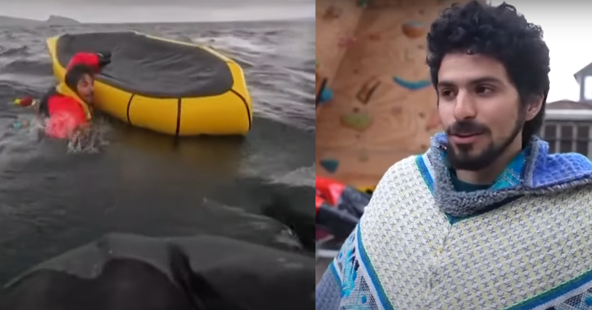 Shocking Whale Incident in Chile