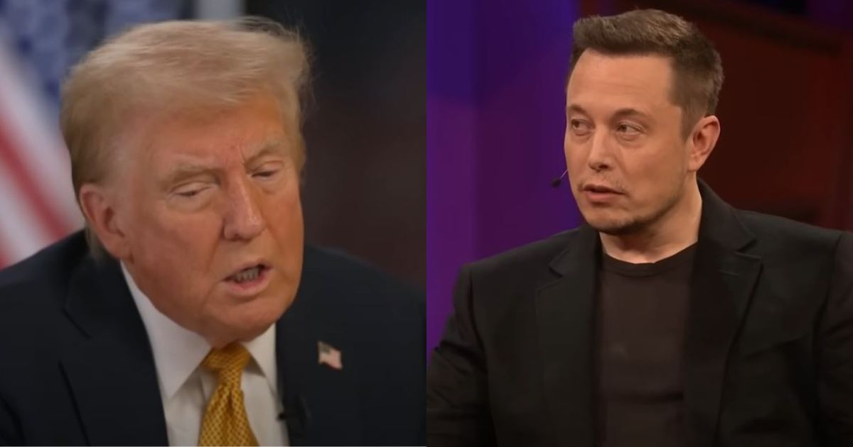 Donald Trump and Elon Musk