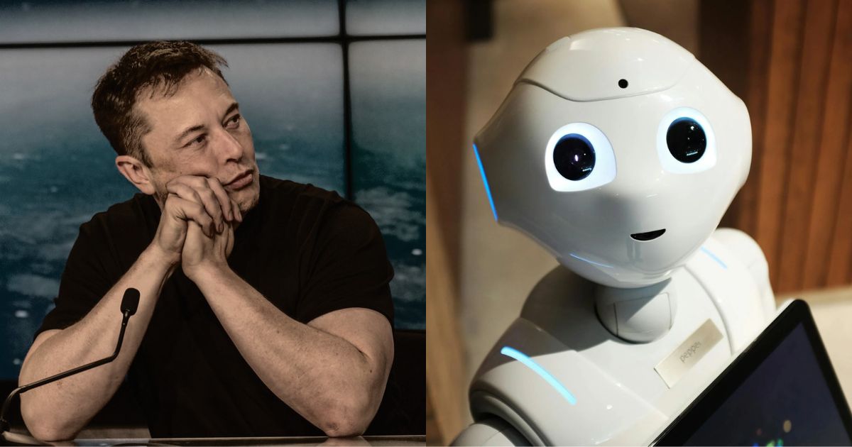 Elon Musk and a generic robot