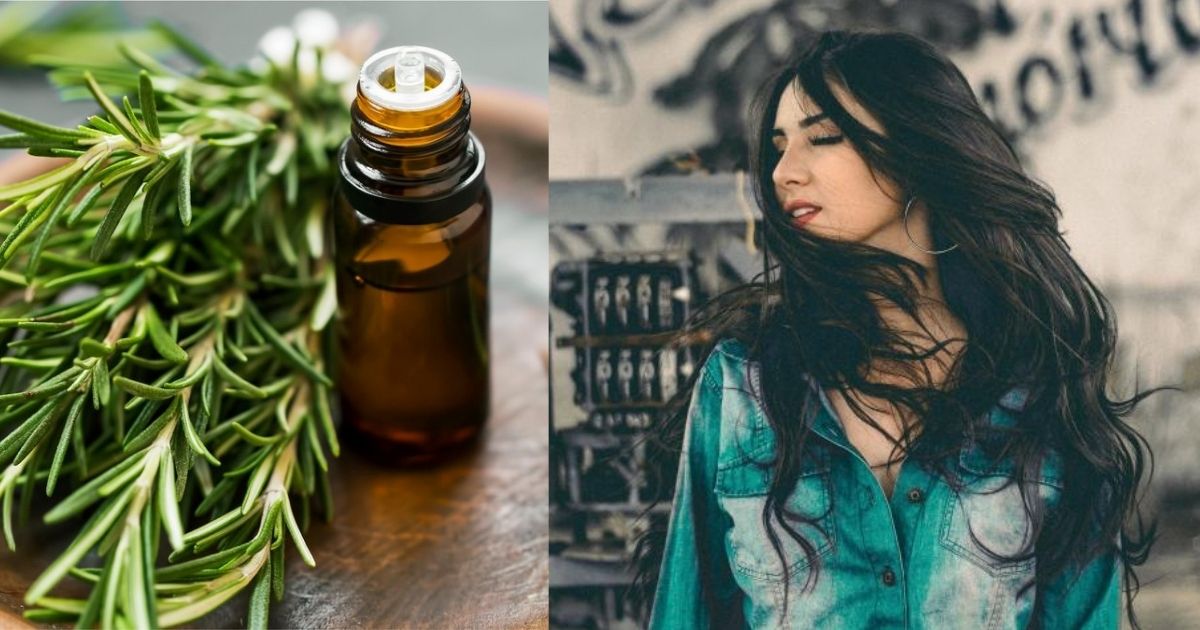 rosemary hair oil is trending on tiktok