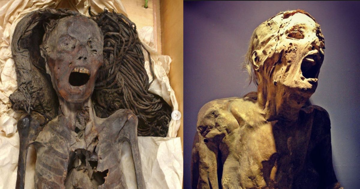 The 3,500-year-old Egyptian screaming mummy Picture on the left (@brut.india) and picture on the right (Instagram|@ramyromany)
