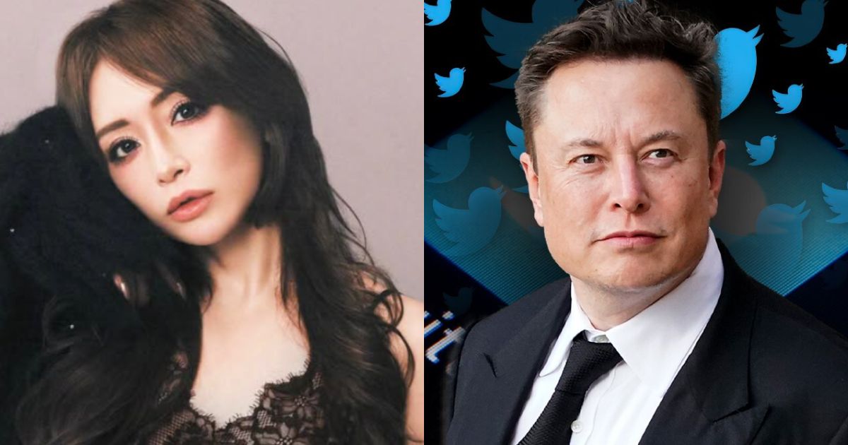 Ayumi Hamasaki ( a.you|Instagram) and Elon Musk (via universe.roboflow)