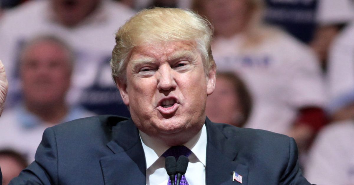 Donald Trump ( uploaded by Gage Skidmore- via Flickr)