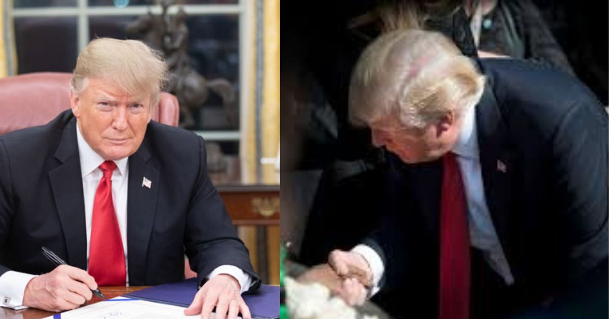 Donald Trump and his iconic hairstyle ( left- picture via getarchive) and ( right- picture from the website of The Megaphone) Southwestern University)