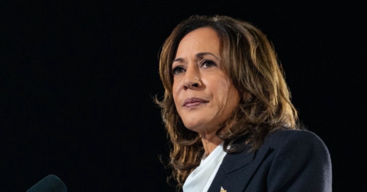 Former Vice President Kamala Harris (@kamalaharris|Instagram)