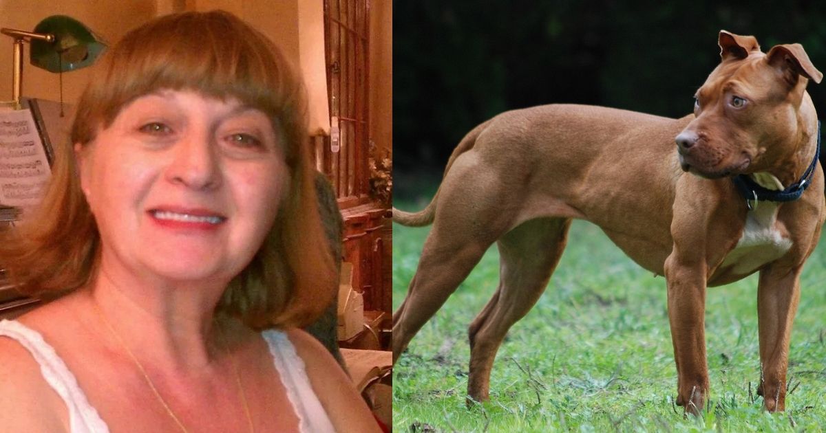 pet dog attack- husband shares