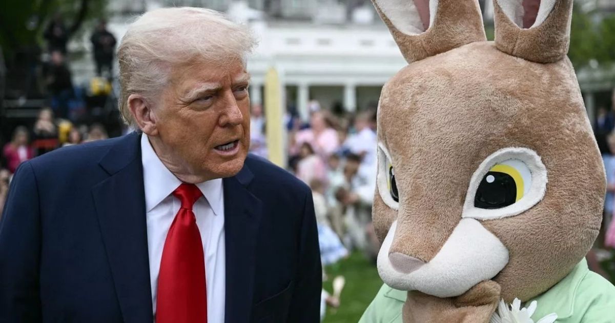 donald trump gone mad