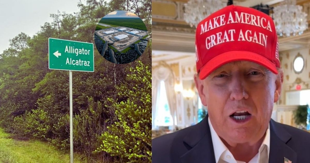 Trump fans turn ‘Alligator Alcatraz’ into a bizarre tourist hotspot. (Image credits: @LangmanVince, @Sassafrass_84, @patriottakes via X.com)
