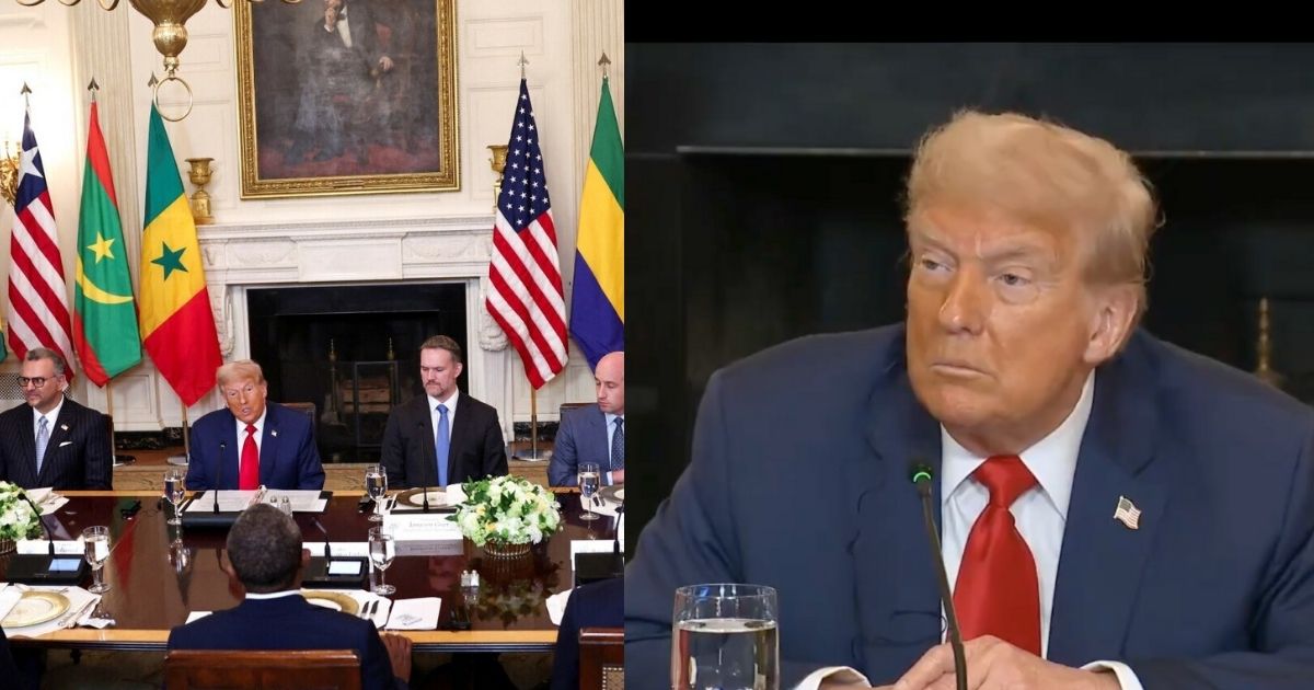 Donald trump-african leaders