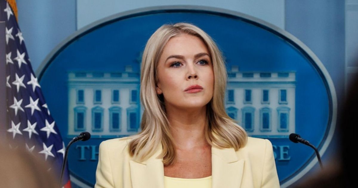 Karoline Leavitt Gets Slammed on Live TV.