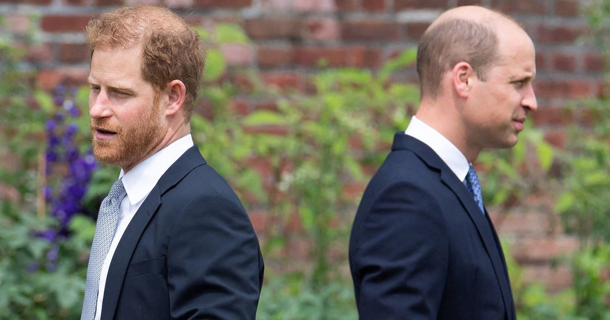 Prince Harry and Prince William