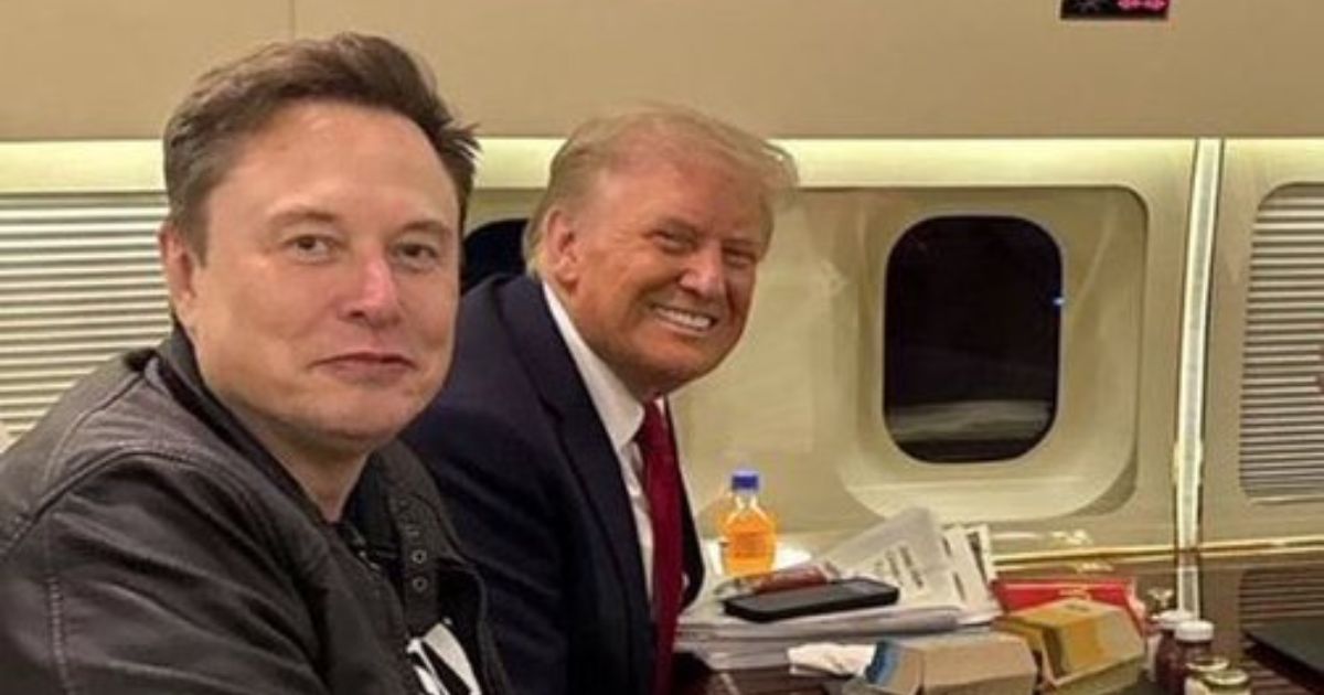 Elon Musk and Donald Trump ( image Credits:@muskelon9273864|X).