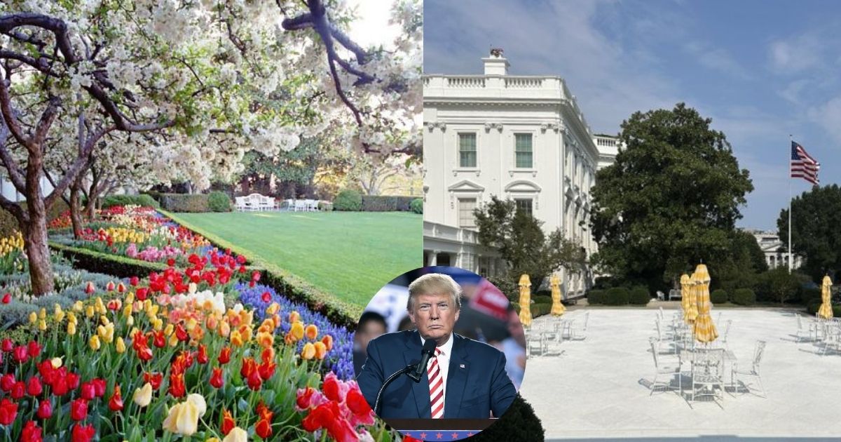Side-by-side comparison of the Rose Garden: the old look (left), shared by @TheInsiderPaper on X, and the newly renovated look by Donald Trump (right), shared by @_DAA on X.