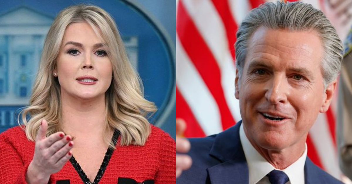 Gavin Newsom roasts Karoline Leavitt with a Hunger Games Meme