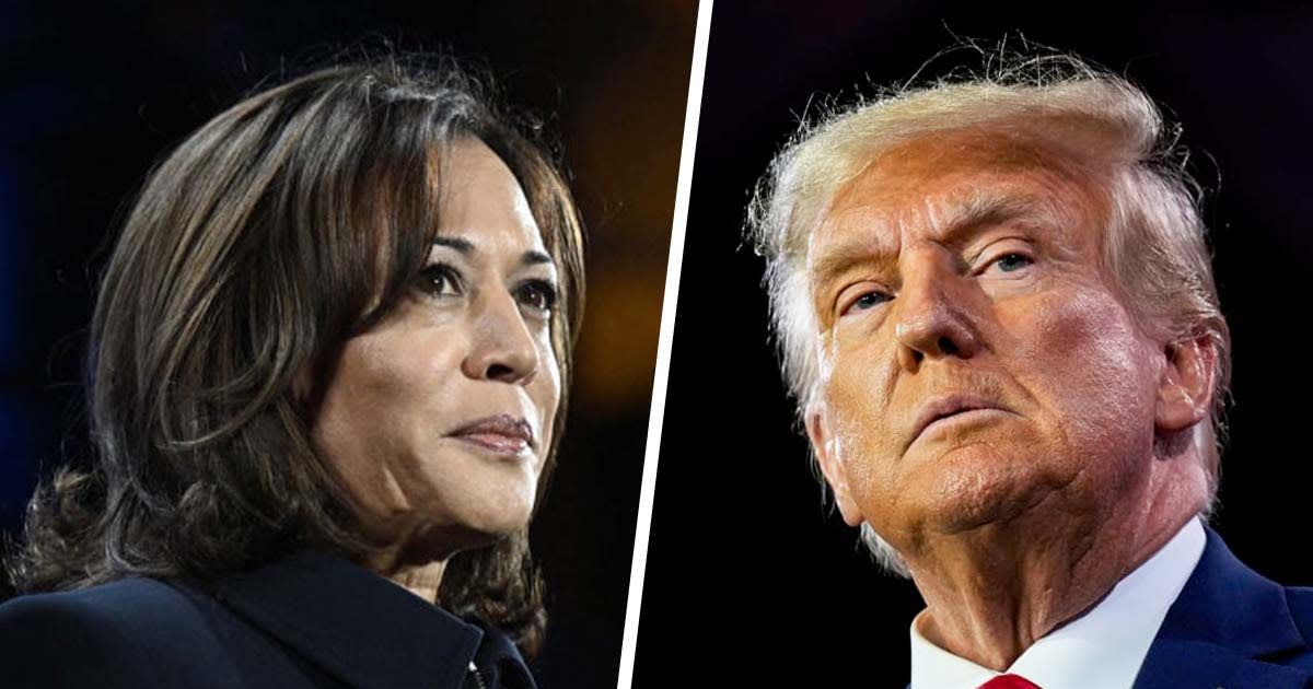 Kamala Harris Has a Four Word Comment on Donald Trump