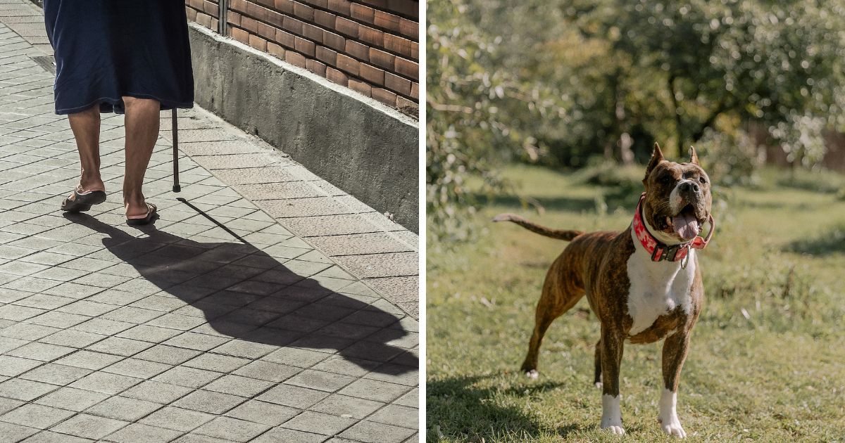 in Tennessee Attacked by Dogs