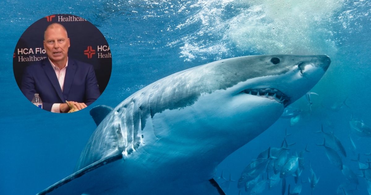 Florida dad opens up about Shark attack